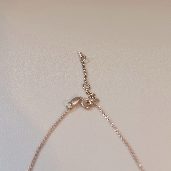 Fossil Horseshoe Necklace - Picture 5 of 10